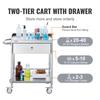 Medical Cart, 2 Layers Stainless Steel Cart 220 lbs Weight Capacity, Lab Utility Cart with 360° Silent Wheels and a Drawer for Lab, Clinic, Kitchen,