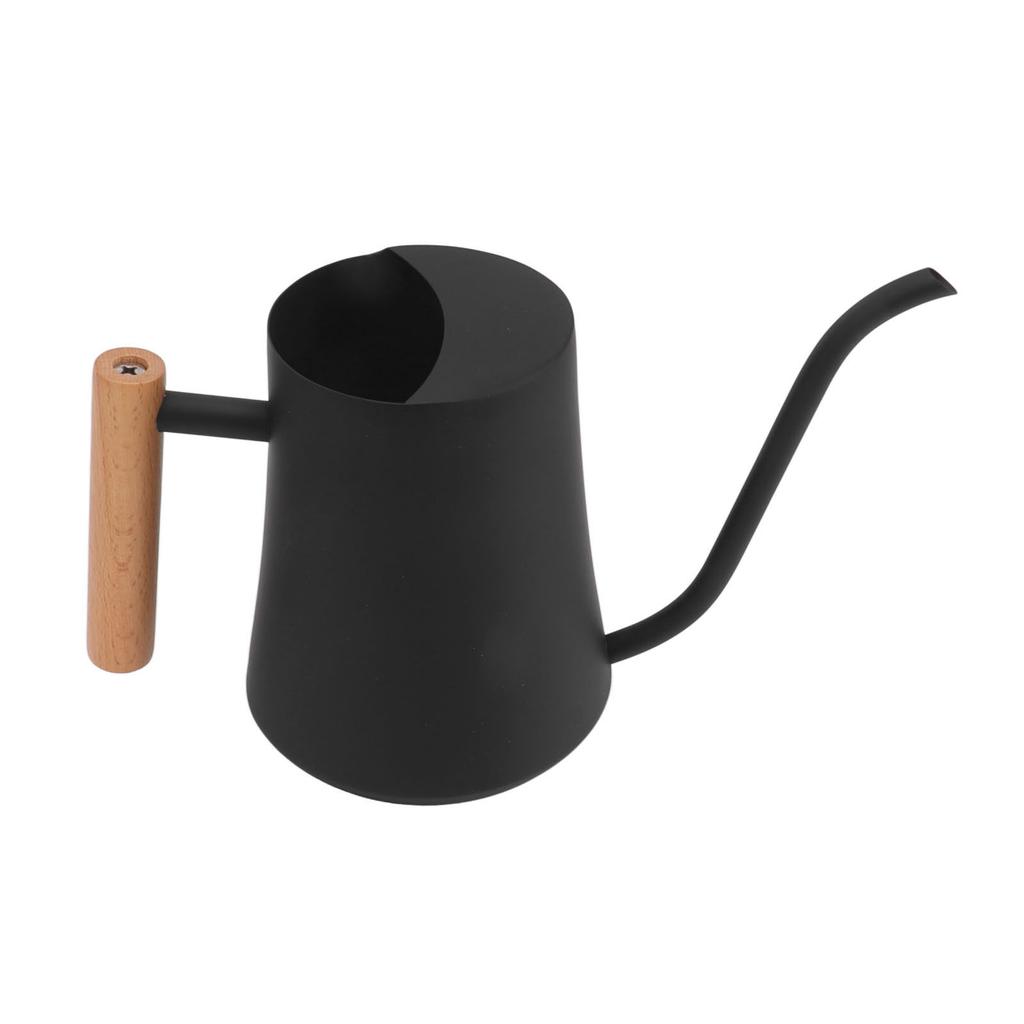 Stainless Steel Watering Can Pot Retro Small Plant Watering Can with Wooden Handle for Indoor Outdoor 1000ML