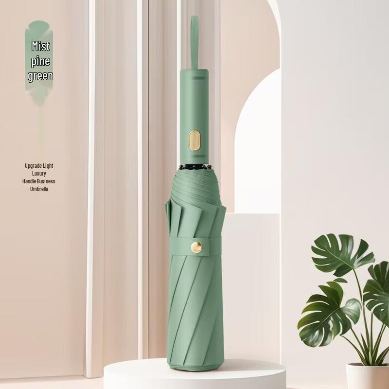 

Automatic 10-Rib Folding Umbrella