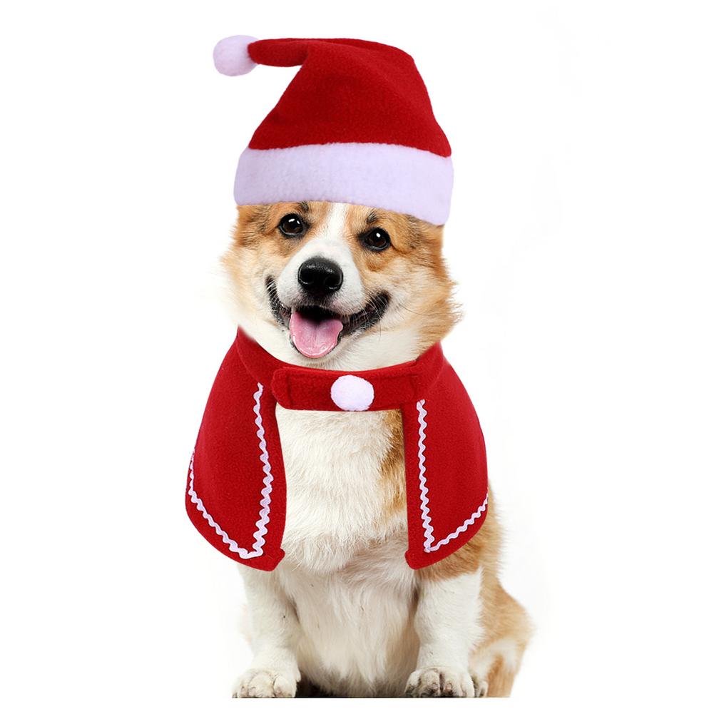 dog christmas jacket