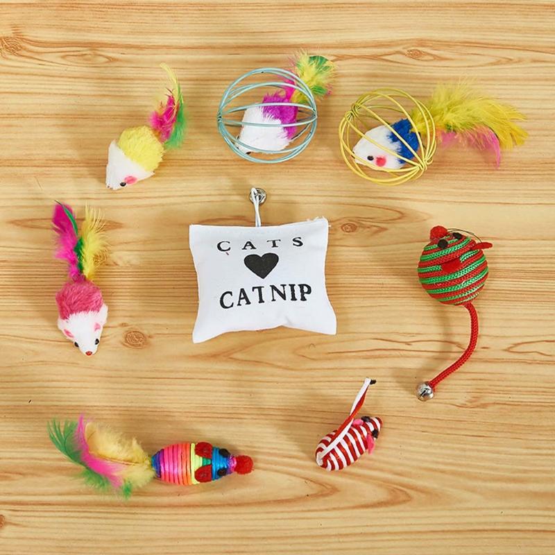 cat entertainment fish