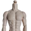 Original Adonis Male Muscle Body Super White Skin Tone 1/6 Dolls Yoga Joints Movable 32cm Male Scale Mannequin Limited Collect