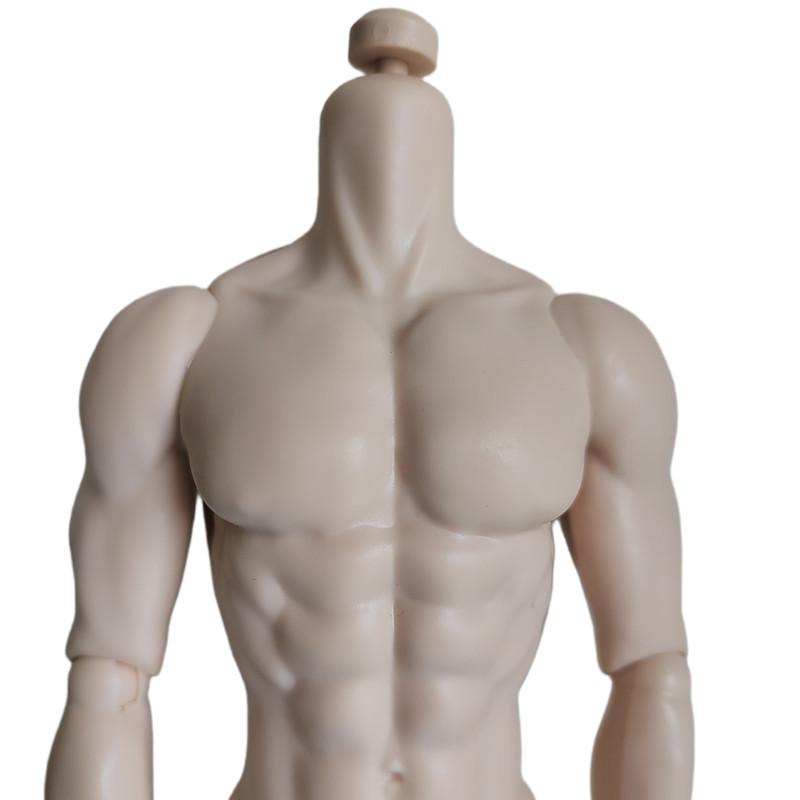Original Adonis Male Muscle Body Super White Skin Tone 1/6 Dolls Yoga Joints Movable 32cm Male Scale Mannequin Limited Collect
