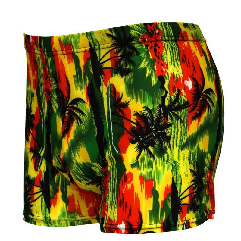 Printed Plus Size Fashion Flat Leg Swimsuit 933-934