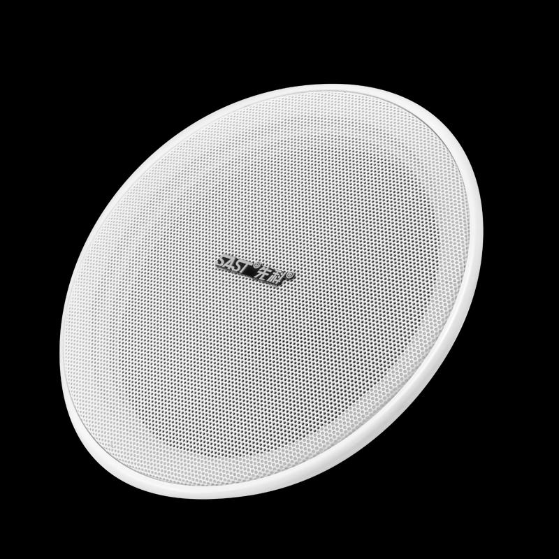 SAST 6-inch Constant Voltage Ceiling Speaker CN plug (adapter included)