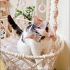 Pet Hammock Cat Swing Hand Woven Cotton Rope Cats Hanging Basket  Kitten Hanging String Den Indoor Pend Nest Pets Supplies