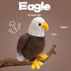 Peluche Aigle - Adorable Poupée Oiseau de Paix pour Cadeau d'Anniversaire ou Ornement de Décoration Intérieure