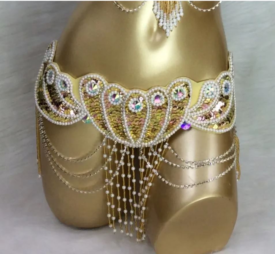 New Style Belly Dance Costume Women Sequins Hip Scarf Wrap Bellydancing Belt with Tassel Beads Waist Chain
