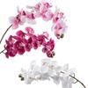 Elegant Large Faux Phalaenopsis for Weddings & Home Decor