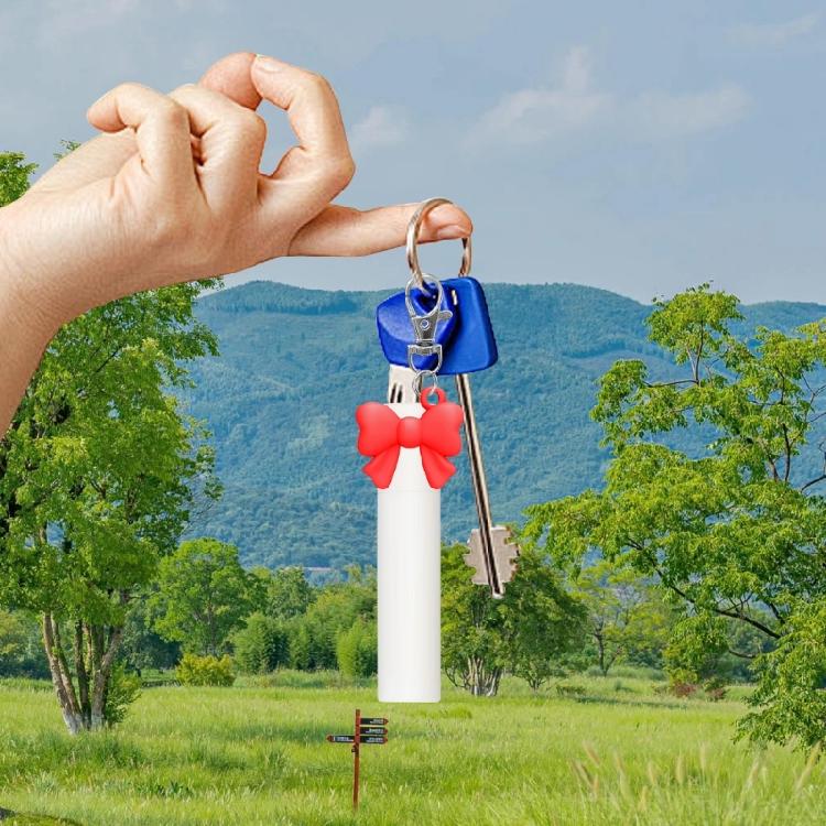 Lip Balm Replacement Covers Keychain Fashionable Keychain Accessory Key Ornament Perfect for Professional and Students