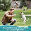 High-Power Ultrasonic Dog Repeller: Long-Range Training and Anti-Barking Device for Outdoor Use