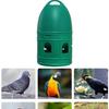 Bird Water Drinker Parakeet Chicken Dove Feeder with Hanging Handle Green 1L
