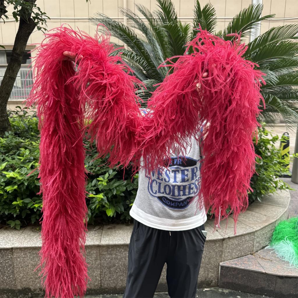 DIY 2 Meter Flauschige Straußenfeder-Boa 1-lagig bis 20-lagig Dick Schal aus hochwertigen Federn zur Dekoration von Brautkleidern Individuell anpassbarer DIY-Schal