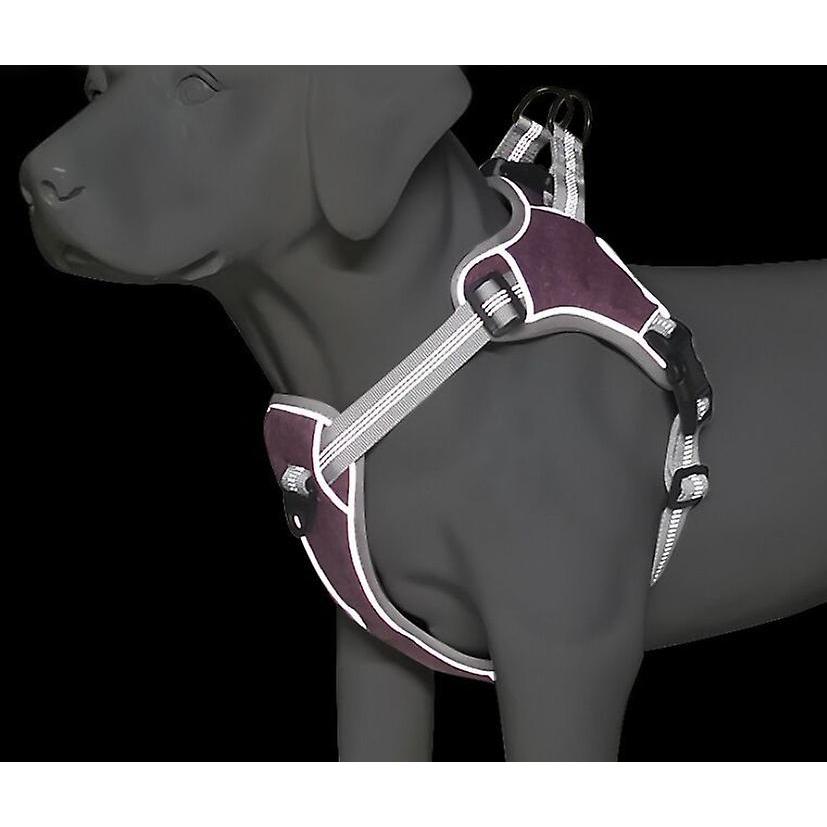 (blue L)dog Harness Leash