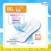 Charmnap Super Jumbo Pack Absorbent Sanitary Heavy 28 pieces Absorbing Incontinence Napkin Light Urinary Pads, Flow, Wingless, 100cc, 29cm, (Urine