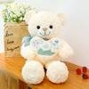 Hug Bear Teddy Bear Doll Plush Toy Hug Bear Doll Ragdoll Girl Birthday Gift