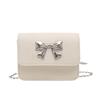 2025 spring and summer new personalized fashion season shoulder messenger bag bag women's trend casual commuter portable small square bag