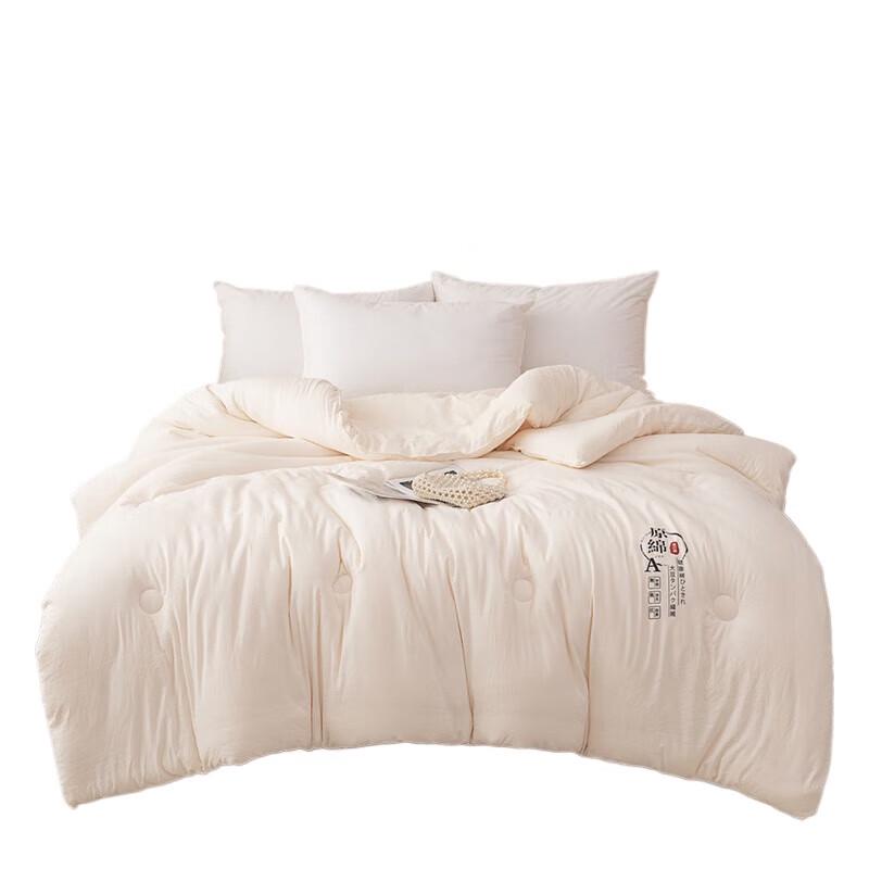 

PLOVER Natural Cotton Undyed Soybean Fiber Winter Quilt