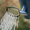 Plastic Watering Can with Mouth High Capacity Portable Sprinkler Head Vintage Gardening Tools for