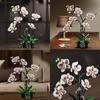 Cymbidium Building Block Toy With Abs Plastic For Children Diy Creative Play Gift