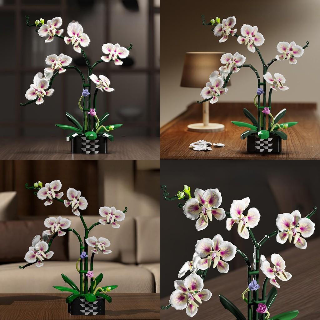 Cymbidium Building Block Toy With Abs Plastic For Children Diy Creative Play Gift