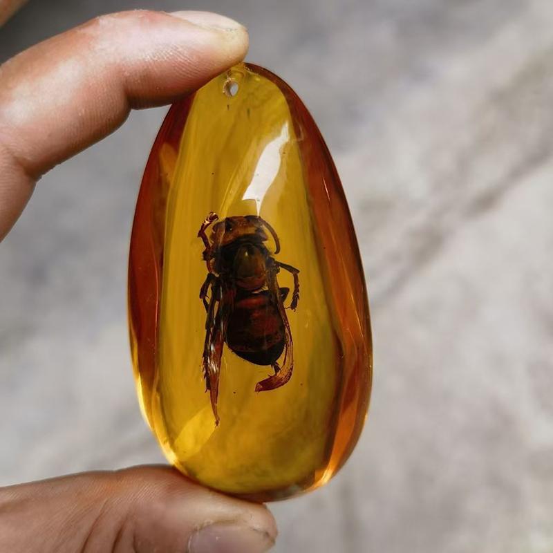 1Pc Insects Amber Gemstone Scorpion Natural Mineral Home Decor Insects Amber Gemstone Diy Hand Crafts Gift
