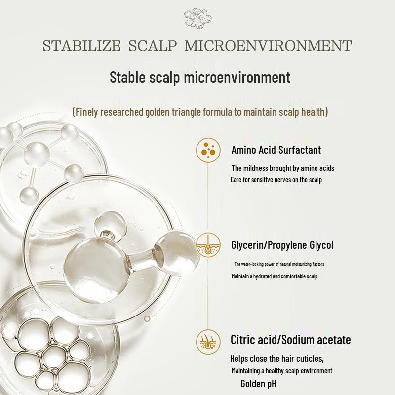 Shampoo per Capelli Giapponese Importato AnZhili 500ml