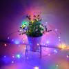 LED Copper Wire String Lights with Battery Box for Balloons, Bobo Balls & Christmas Decorations