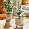 1/2Pcs Flowerpot with Drainage Holes Water Filling Port Automatic Self-Watering Hydroponic Flowerpot Transparent Base Plant