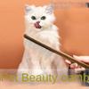 Green Leaf Clip Cats Accessories Hook Up Grooming Stand Pet Flowers Things for Cats Plant Climbing Gardening Outdoor Decoration