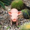 Resin Pig Statue Cute Animal Sculpture for Garden Yard Patio Outdoor Decoration Lawn Ornament Animal Statue Figurine