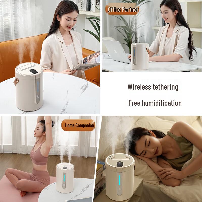 Dual Spray Humidifier with Night Light