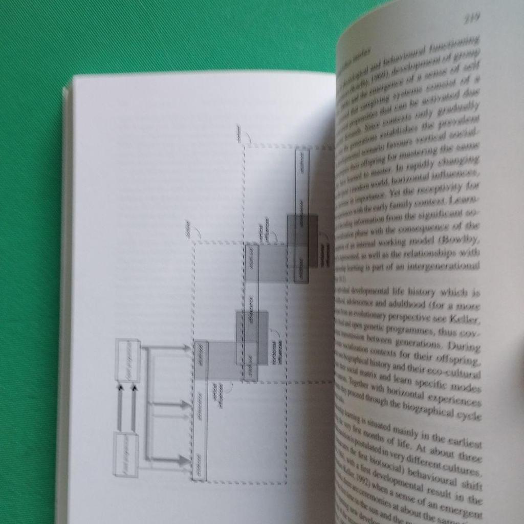 [USED] Ontogeny: Biological, psychological, and cultural considerations