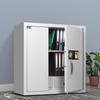 Tiger Brand Fingerprint Password Steel Security & Filing Cabinets