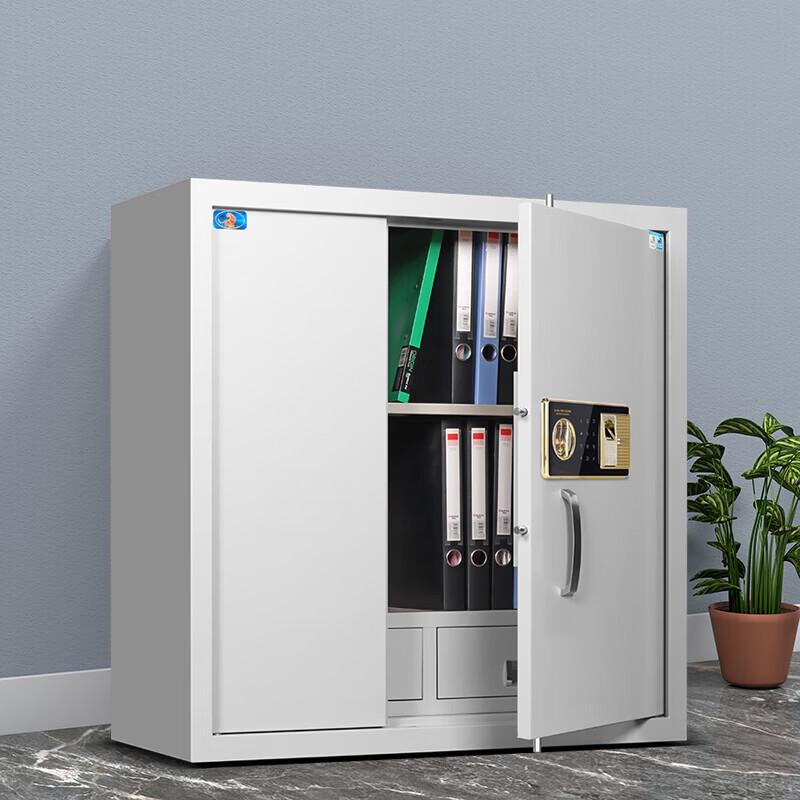 Tiger Brand Fingerprint Password Steel Security & Filing Cabinets