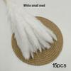 Whisk Rabbit Tail Grass Dried Flower Bouquet - Natural Pampas Grass & Small Reed