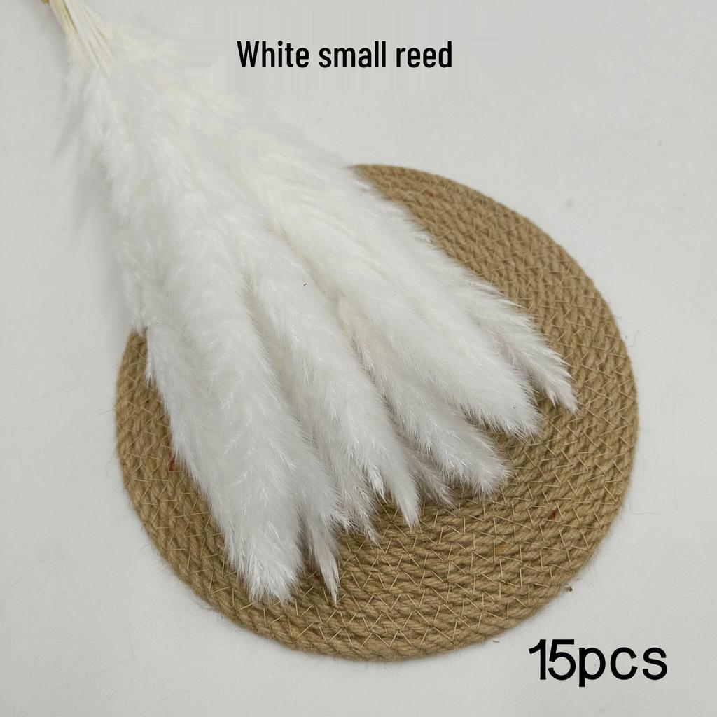 Whisk Rabbit Tail Grass Dried Flower Bouquet - Natural Pampas Grass & Small Reed