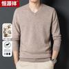 Hengyuanxiang Men's Thick Pure Wool V-Neck Pullover Sweater