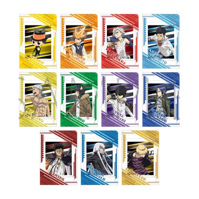 Colección de archivos Katekyo Hitman Pashakore ¡11 paquetes CAJA REBORN!