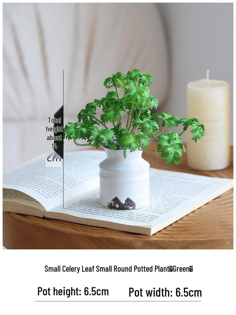Miniature Succulent Bonsai Desk Ornament: Green Plant Props for Home or Office Decor