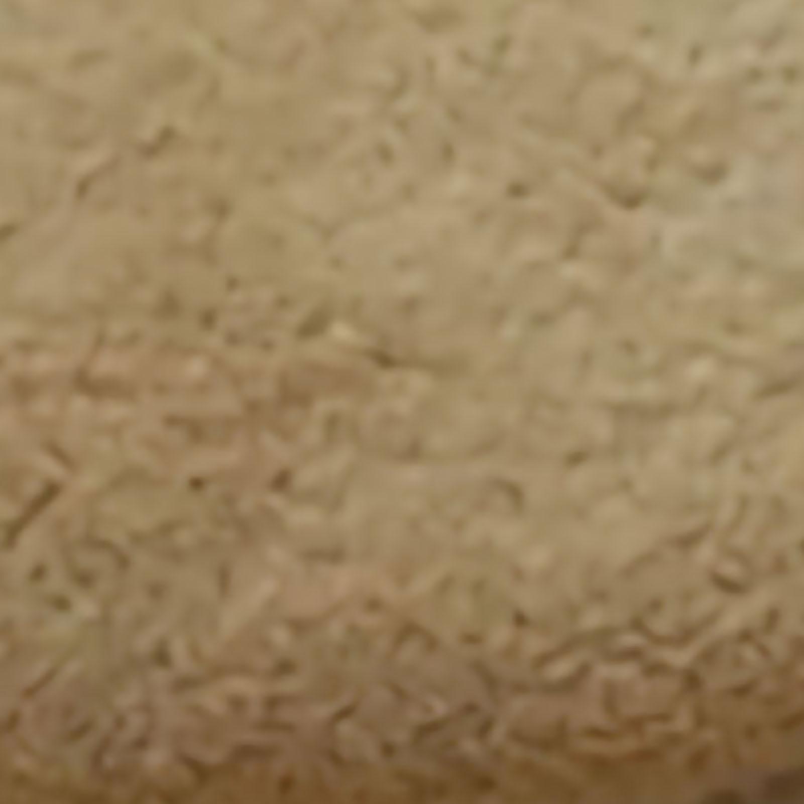 

Дверной коврик овальный противоскользящий ковер для прихожей впитывающий влагу мягкий удобный плюшевый коврик для ванной комнаты для кухни спальни 40x60cm/15.7x23.6in (Oval Shape) света загар