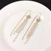 Earrings Female Super Fairy Tassel Temperament Internet Celebrity Earrings Korean Fashion Rice Bead Chain Pearl Long Tassel Earrings