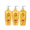 Gold Essential Oil Anti-Hair Loss Hair Care Set