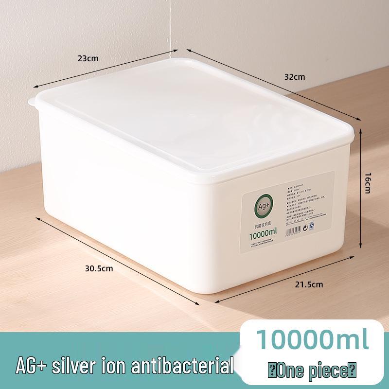 Large Capacity Fresh-Keeping Storage Box for Steamed Buns and Dumplings