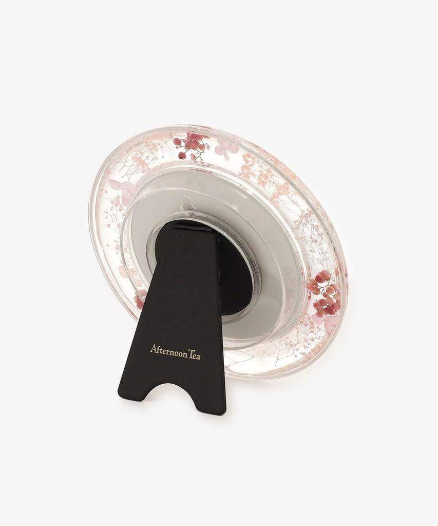 Afternoon Tea Living HR33 Botanical Mirror, Pink