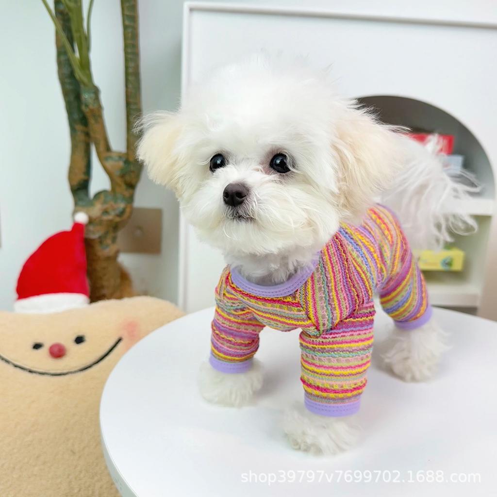 Dog quadruple summer thin pet breathable small dog clothing than bear anti-hair loss rainbow stripes