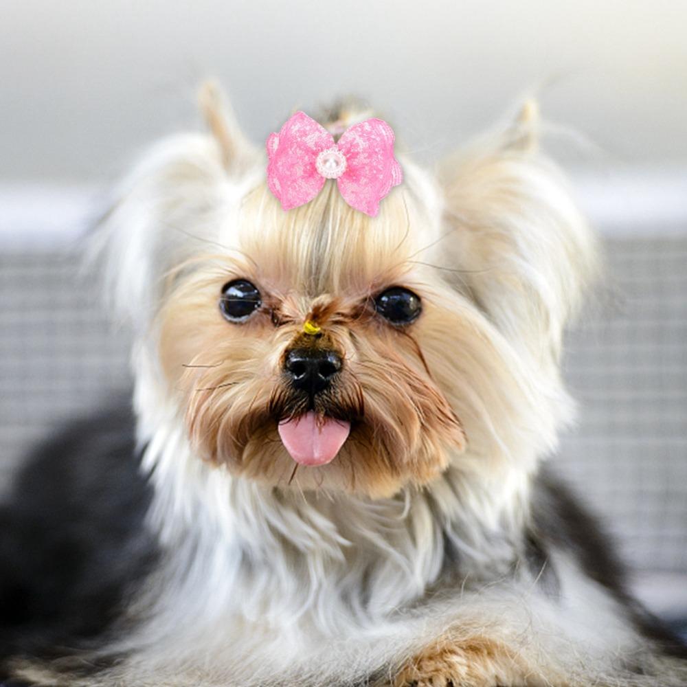 20Pcs Lace Trim Pet Hair Tie Bow Shape Pet Lace Headwear Dog Hair Flower Festival Styling