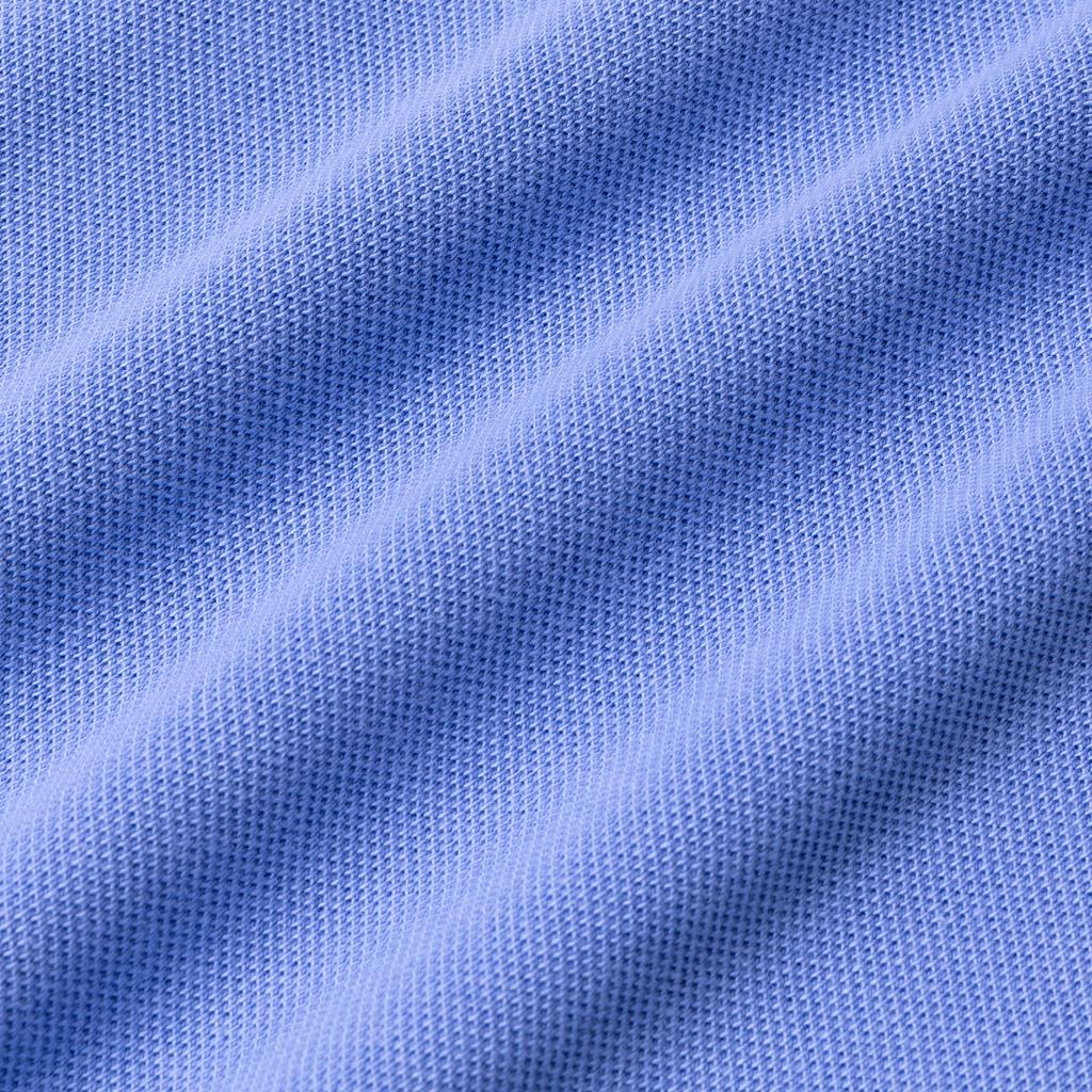 Polo Ralph Lauren Jednobarevné Pánské Polo Tričko s Krátkým Rukávem a Vyšívaným Malým Logem, Pruhovaným Lemem Modrá 710842621-006