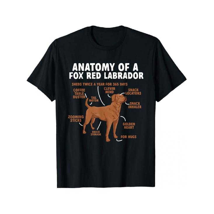 s Funny Labrador Retriever Anatomy T-Shirt - Fox Red Lab Dog Breed Design with Labeled Features (Black) | 100% -Shrink Short Sleeve Shirt for Dog S чёрный