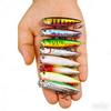 Submerged Pencil Lure Bait Set6.5cm6g8No. Blood Groove Hook Hard Bait Freshwater and Saltwater Universal Fake Fish Bait
